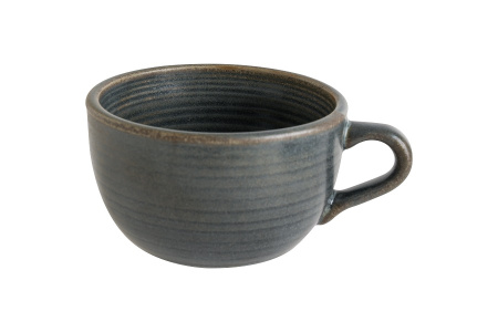 картинка Чашка 205 мл. чайная d=97 мм. h=55 мм. Хорнфэлс (блюдце HORRPL01STB) 