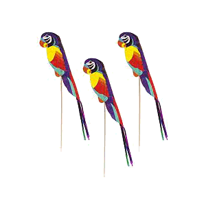 картинка Попугай на палочке 100шт дерево H=4,L=18,B=11.7см бежев.,разноцветн. 