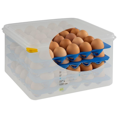 картинка Контейнер для хранения яиц 35,4*32,5 см. h= 20 см. 4 лотка с крышкой 