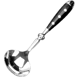 картинка Ложка для соуса «Дориа» сталь нерж. L=180/47,B=10мм металлич. 